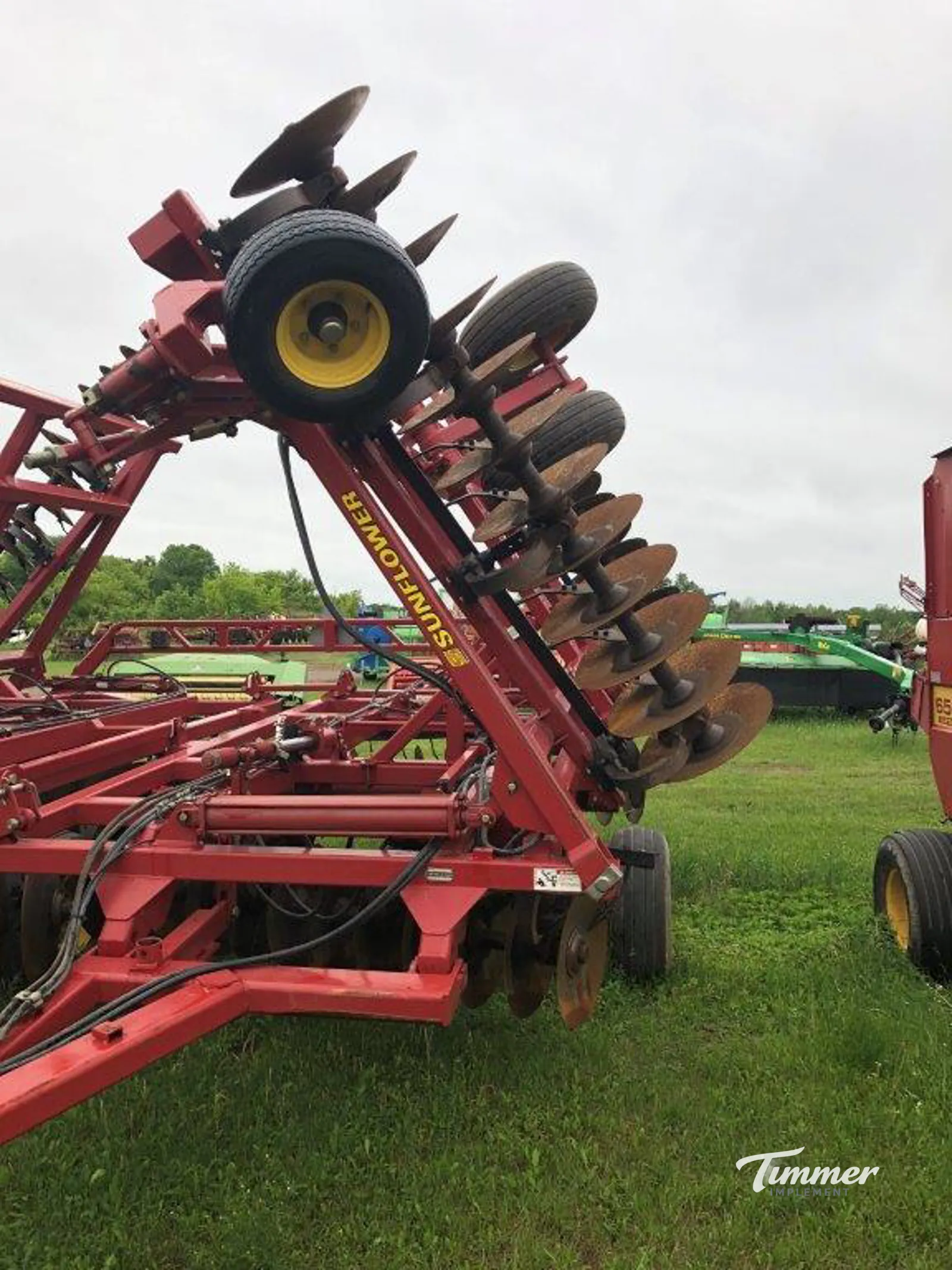 Sunflower 1444-36 photo 5
