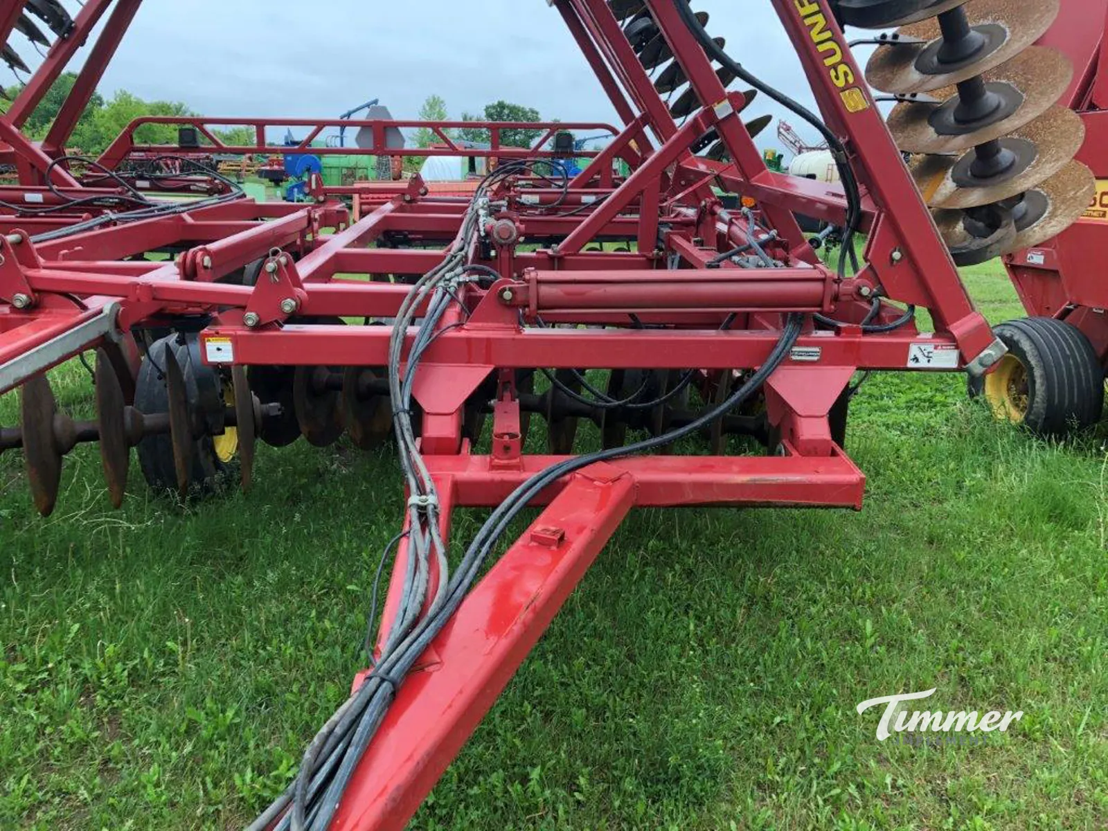 Sunflower 1444-36 photo 19