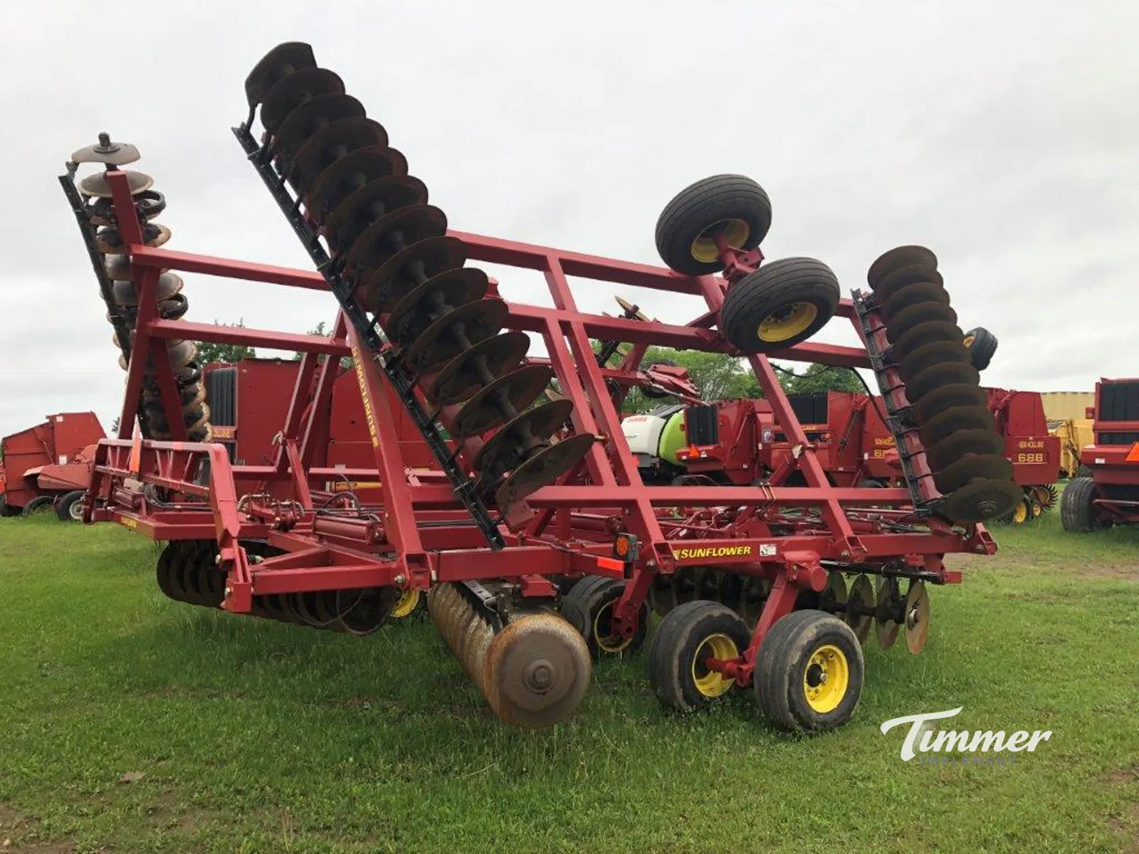Sunflower 1444-36 photo 14