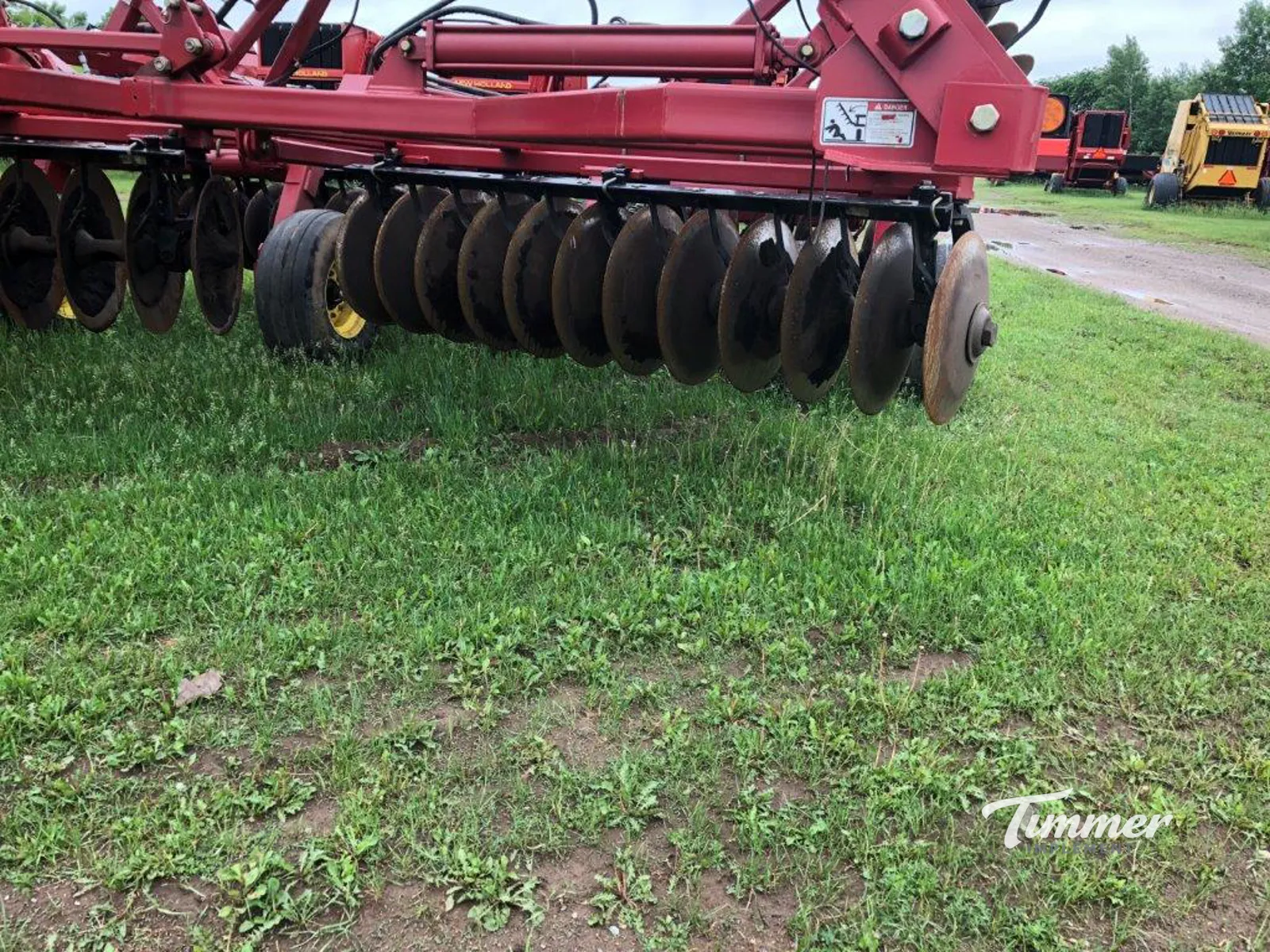 Sunflower 1444-36 photo 12