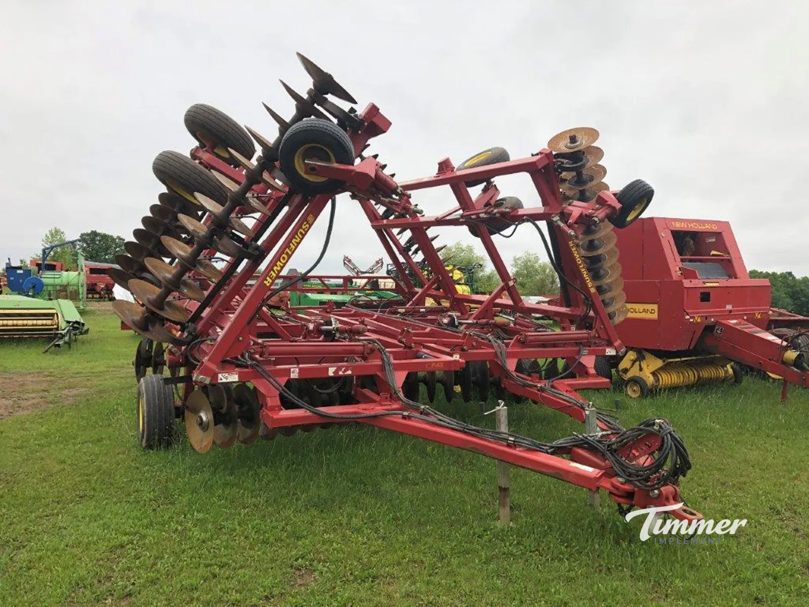 Sunflower 1444-36 photo 17