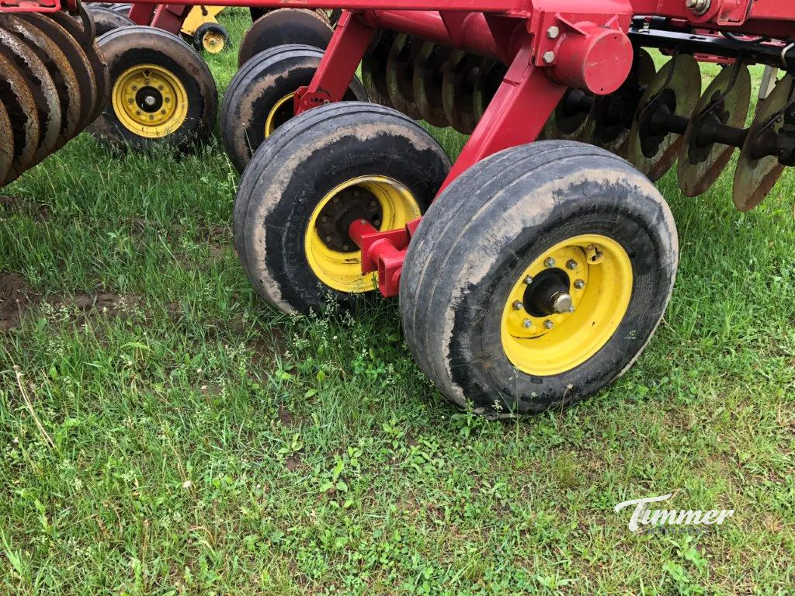 Sunflower 1444-36 photo 16