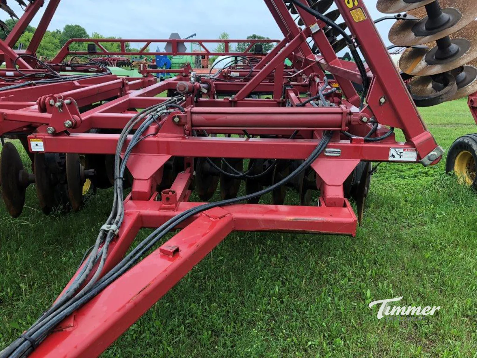 Sunflower 1444-36 photo 4