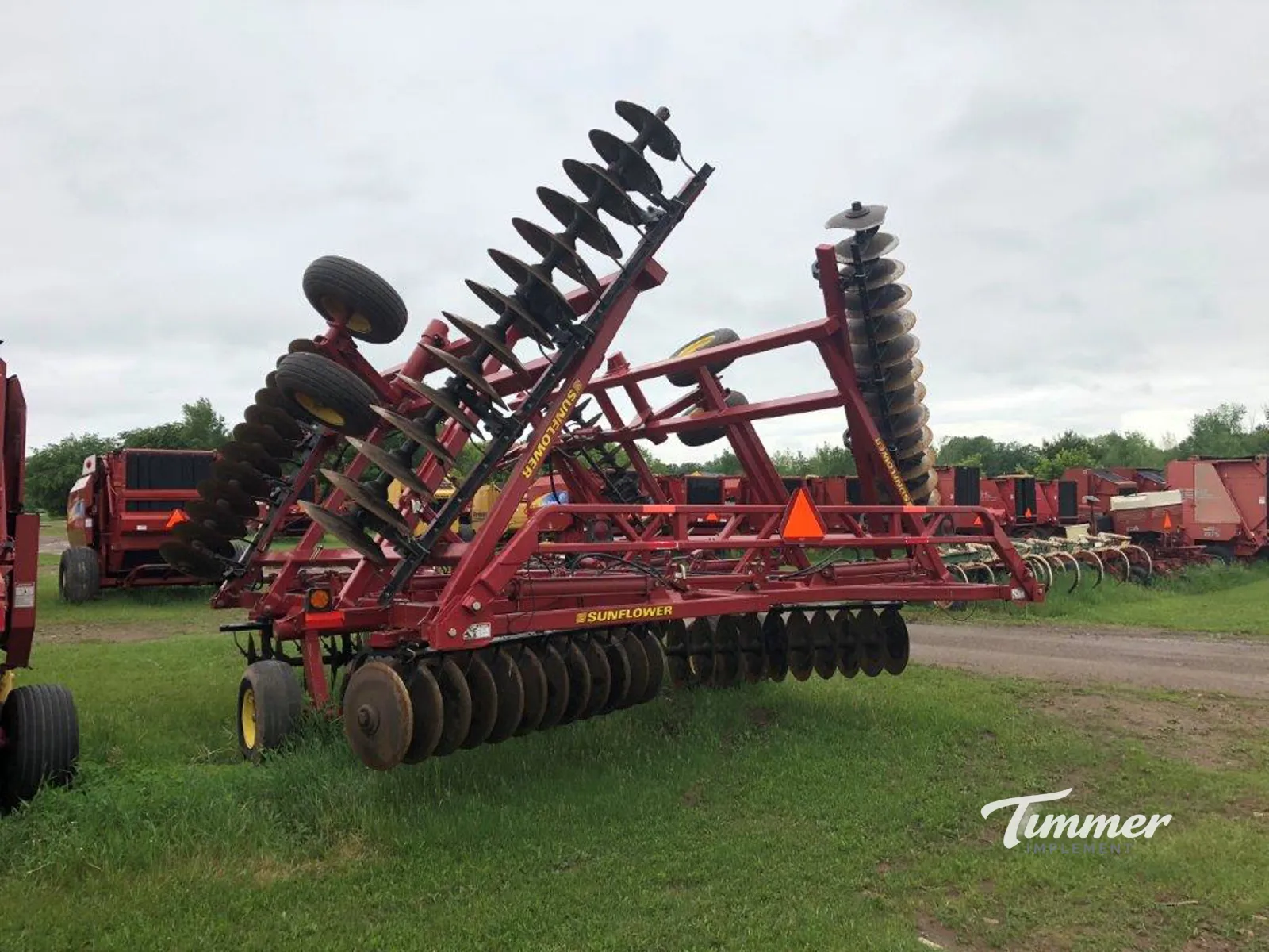 Sunflower 1444-36 photo 10