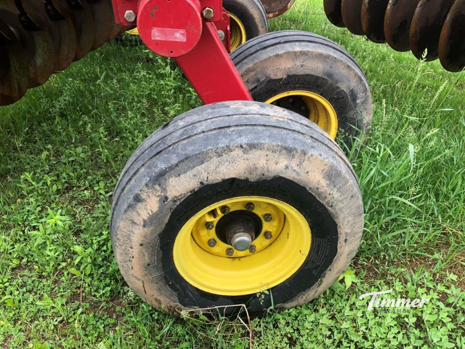 Sunflower 1444-36 photo 8