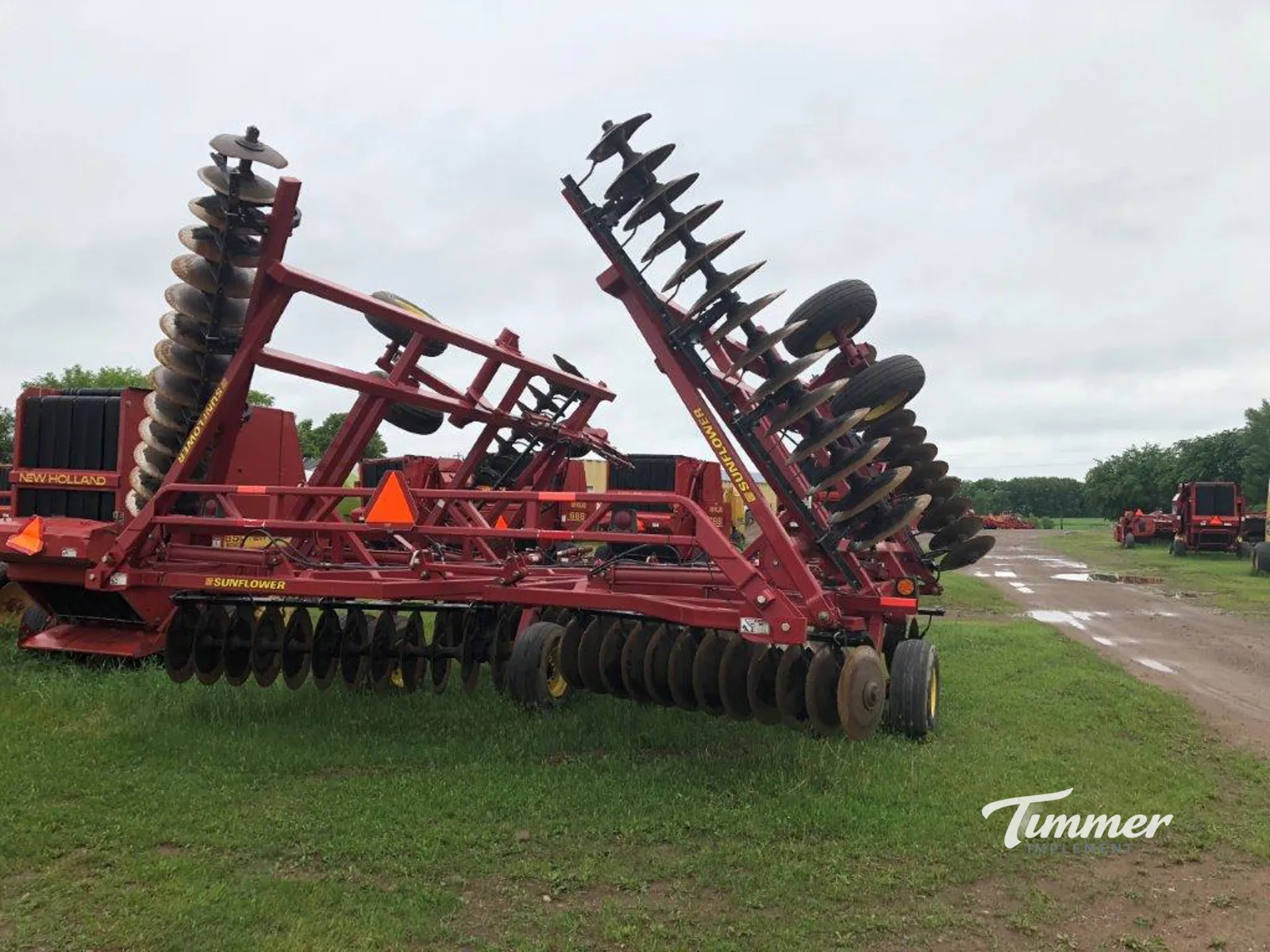 Sunflower 1444-36 photo 13