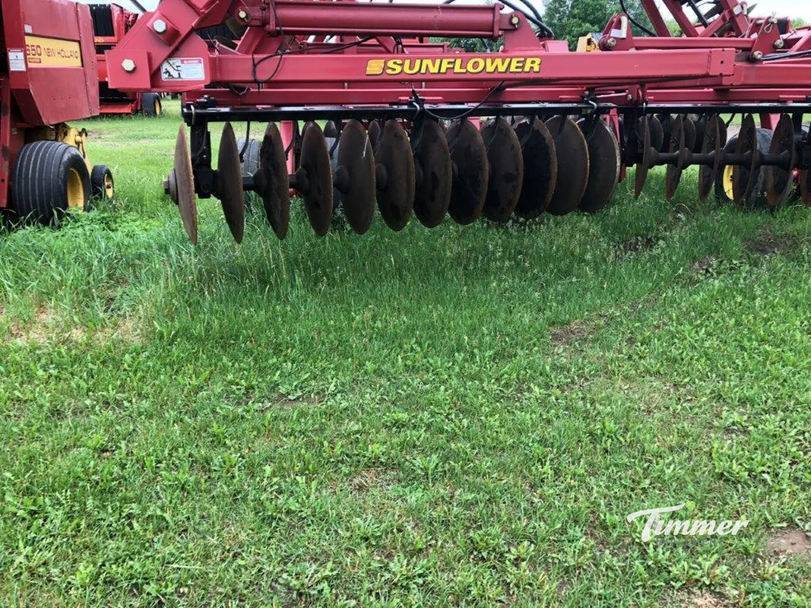 Sunflower 1444-36 photo 11