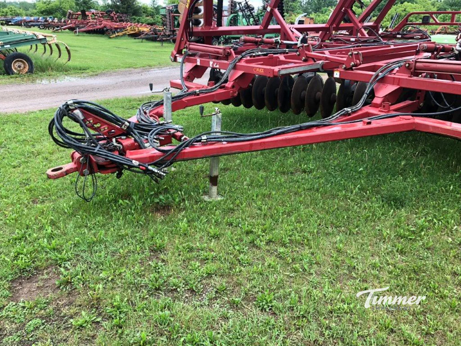 Sunflower 1444-36 photo 3