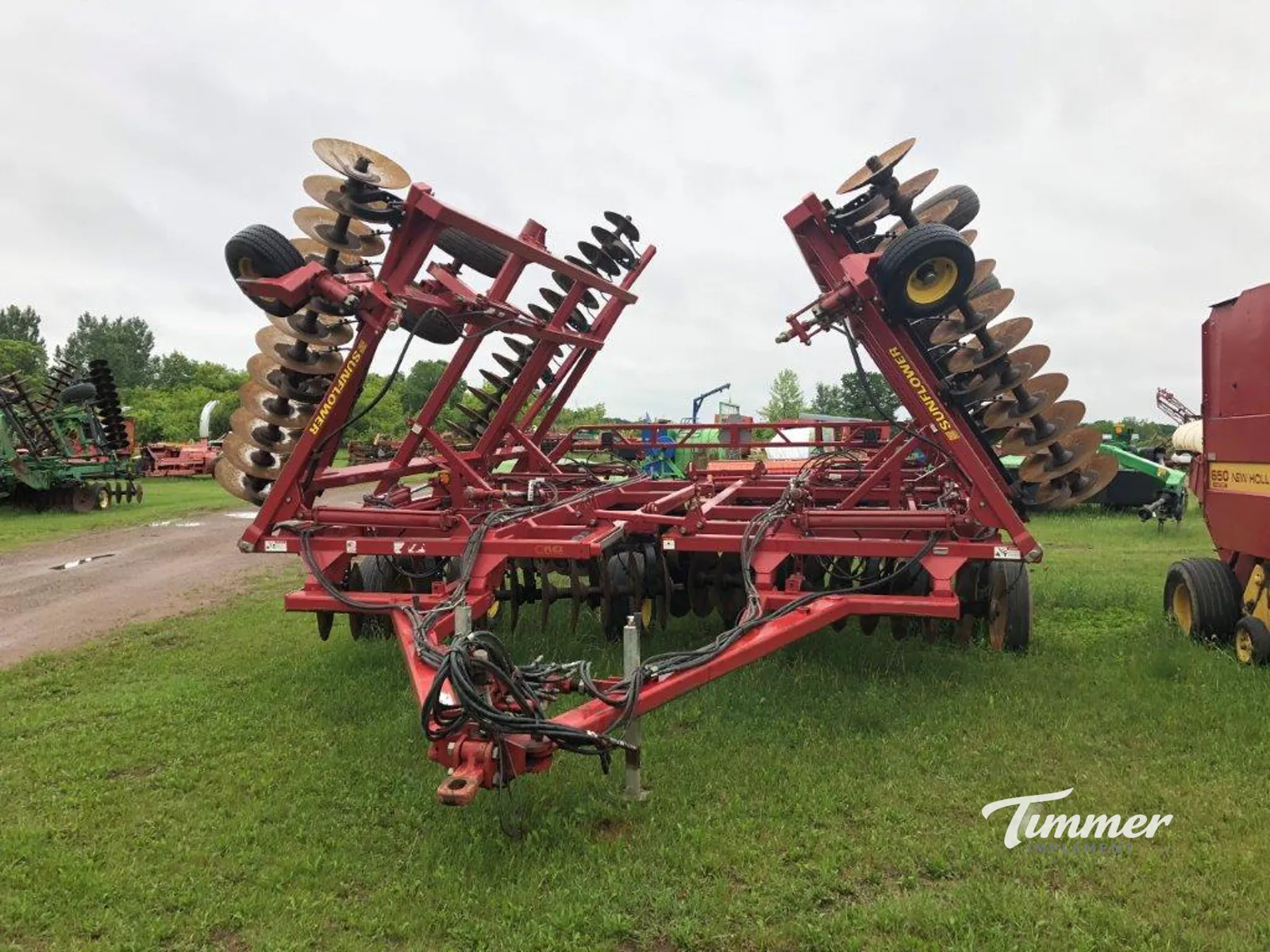 Sunflower 1444-36 photo 2
