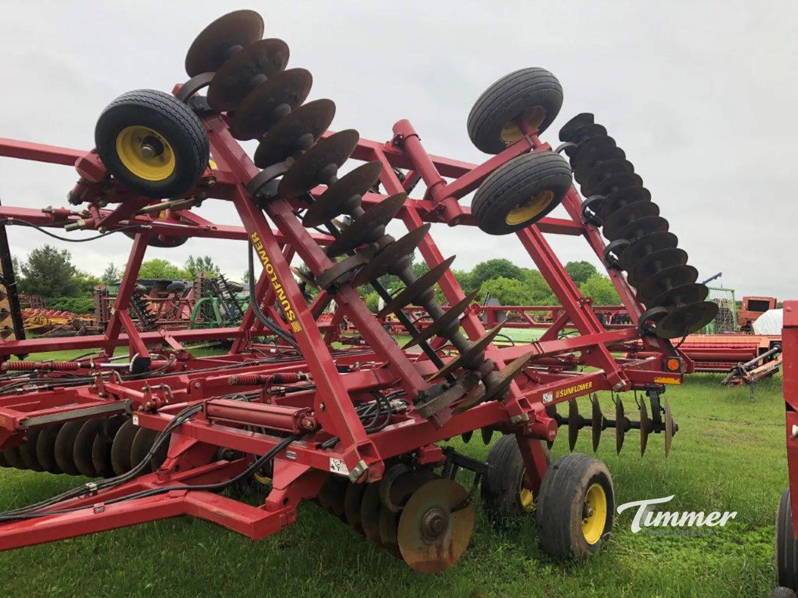 Sunflower 1444-36 photo 6