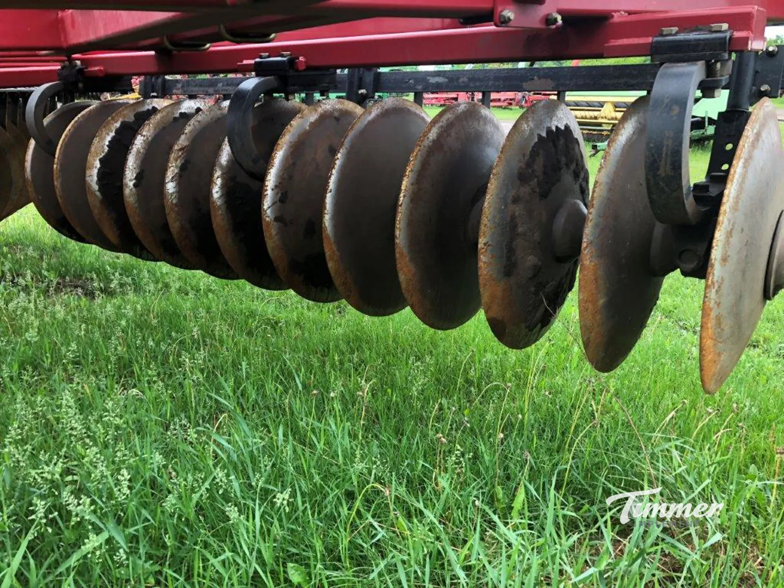 Sunflower 1444-36 photo 9