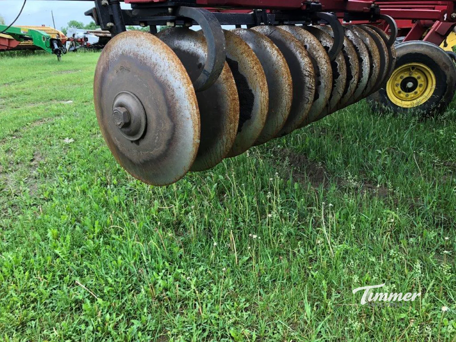 Sunflower 1444-36 photo 15